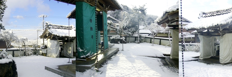 西教寺の雪化粧